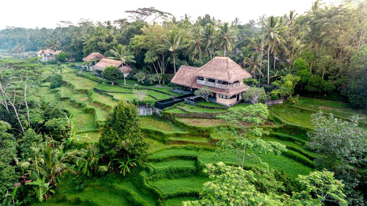 Kelusa * Ubud
