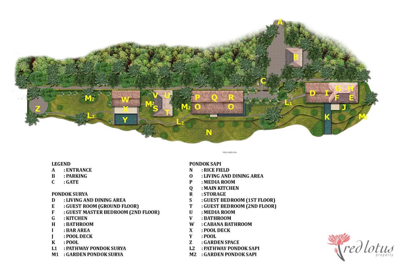 Kelusa Ubud