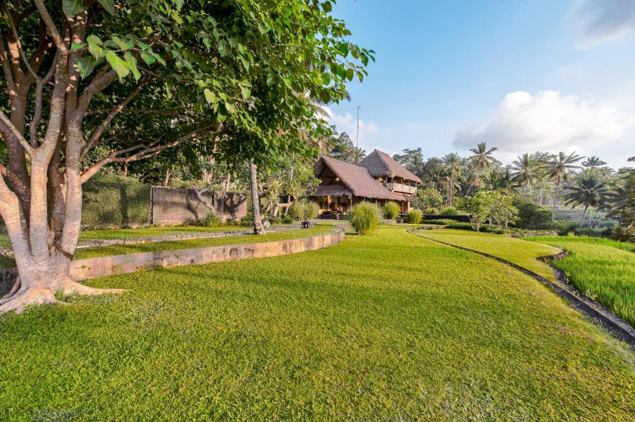 Kelusa Ubud