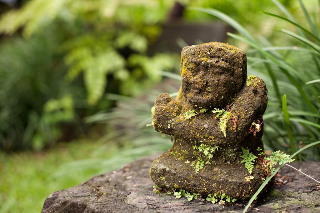 Kelusa Ubud