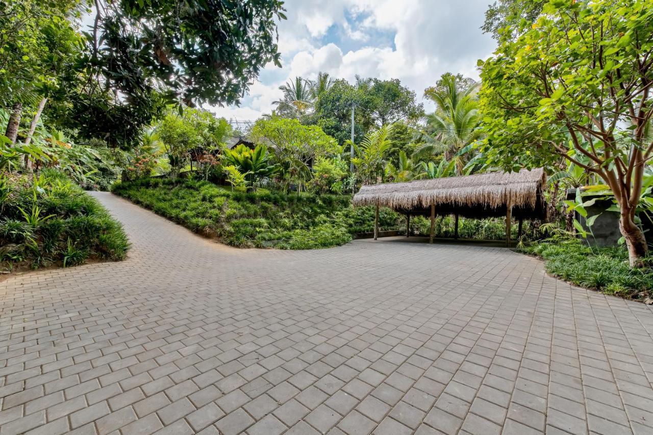Kelusa * Ubud