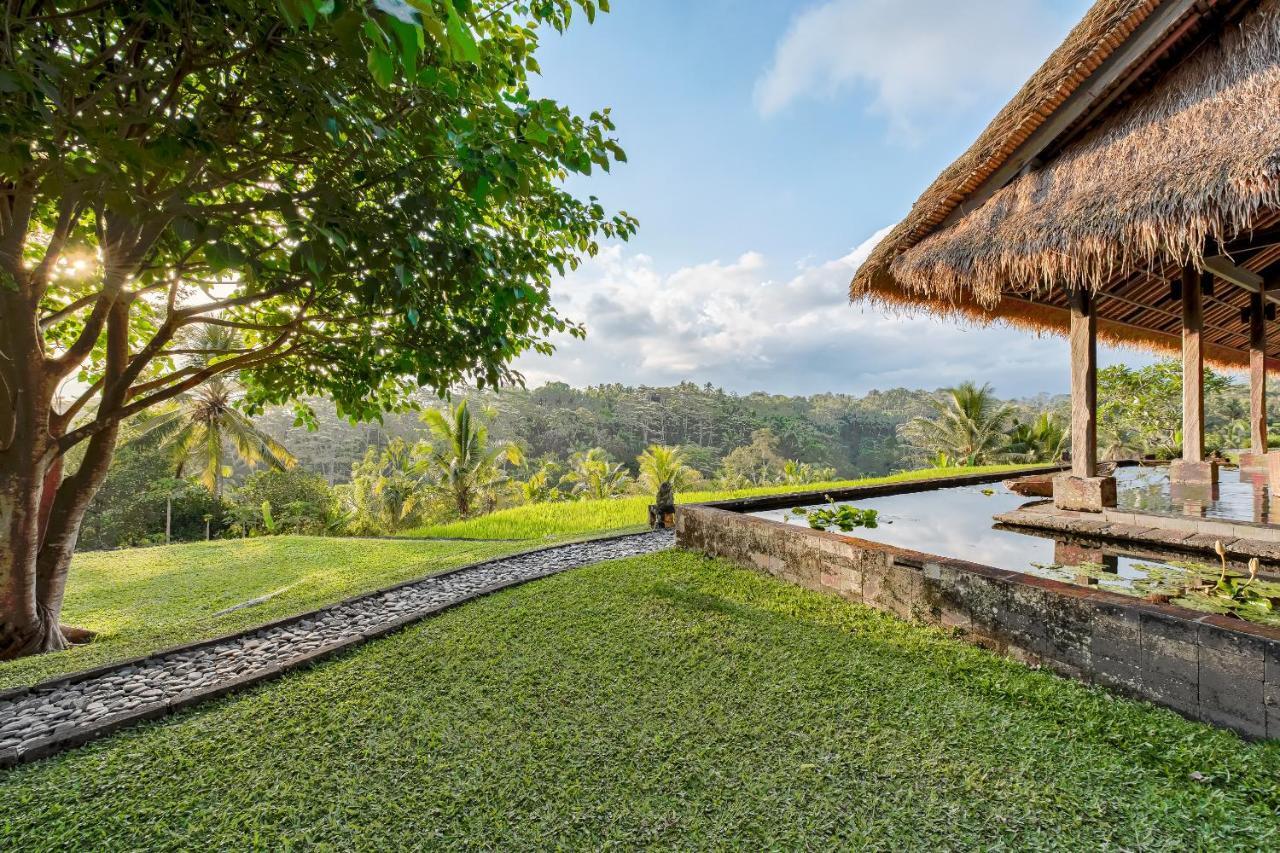 Kelusa Ubud